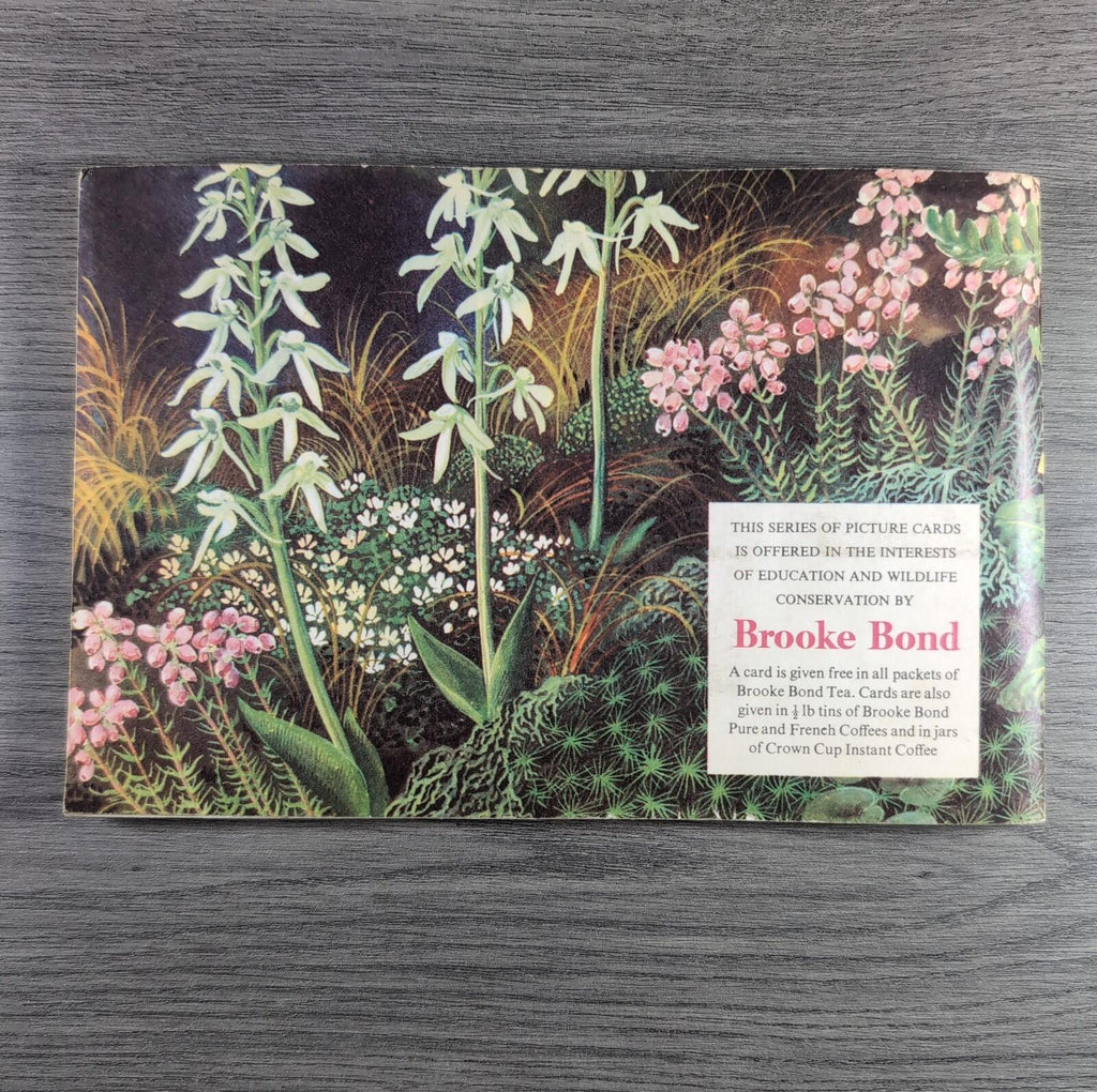 Brooke Bond Tea Picture Cards Album Wild Flowers Complete Set