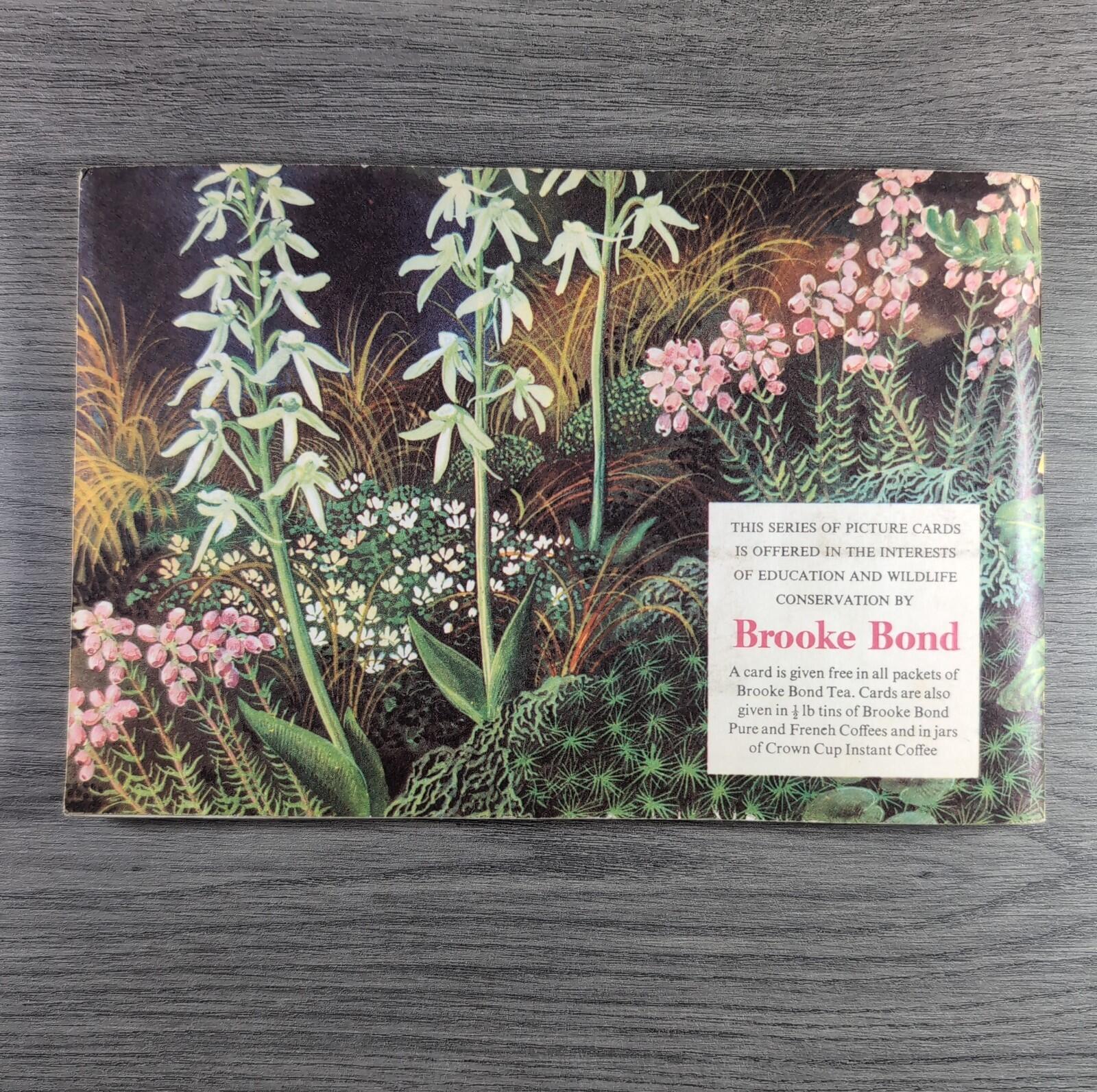 Brooke Bond Tea Picture Cards Album Wild Flowers Complete Set