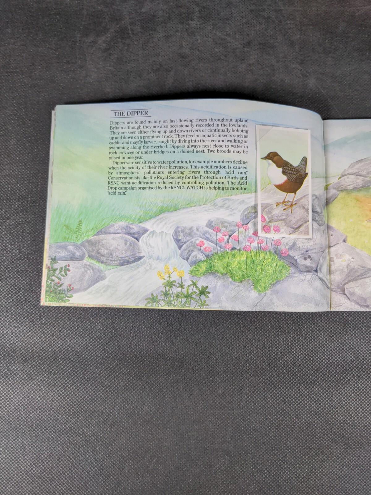 Brooke Bond Tea Cards: A Journey Downstream Album Complete All Cards In The Set