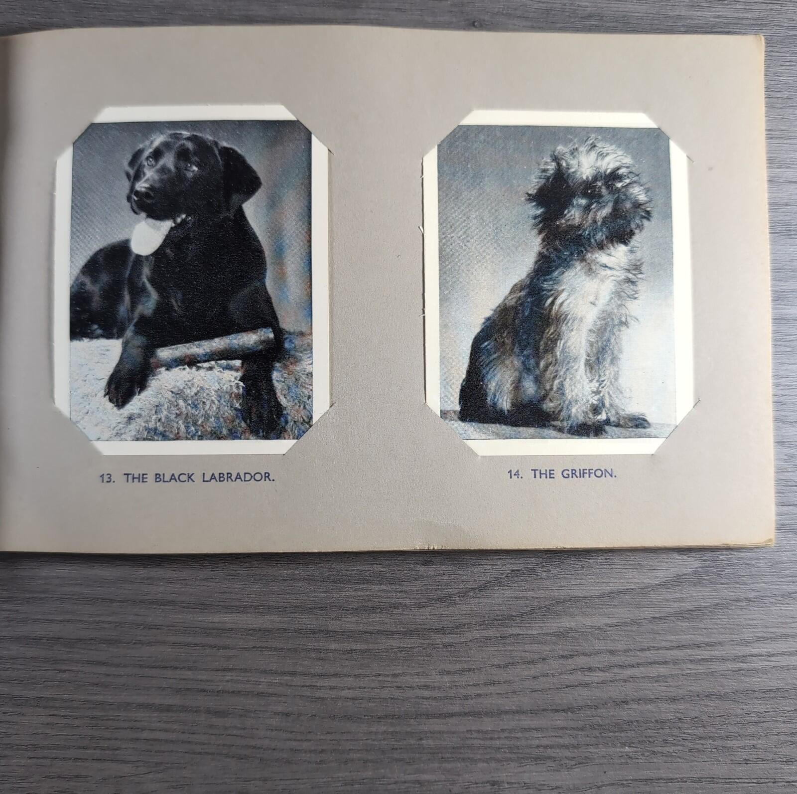 Good Dogs Trex J Bibby 1955 Full Set 25 Cards In Album Collectors Trading Cards
