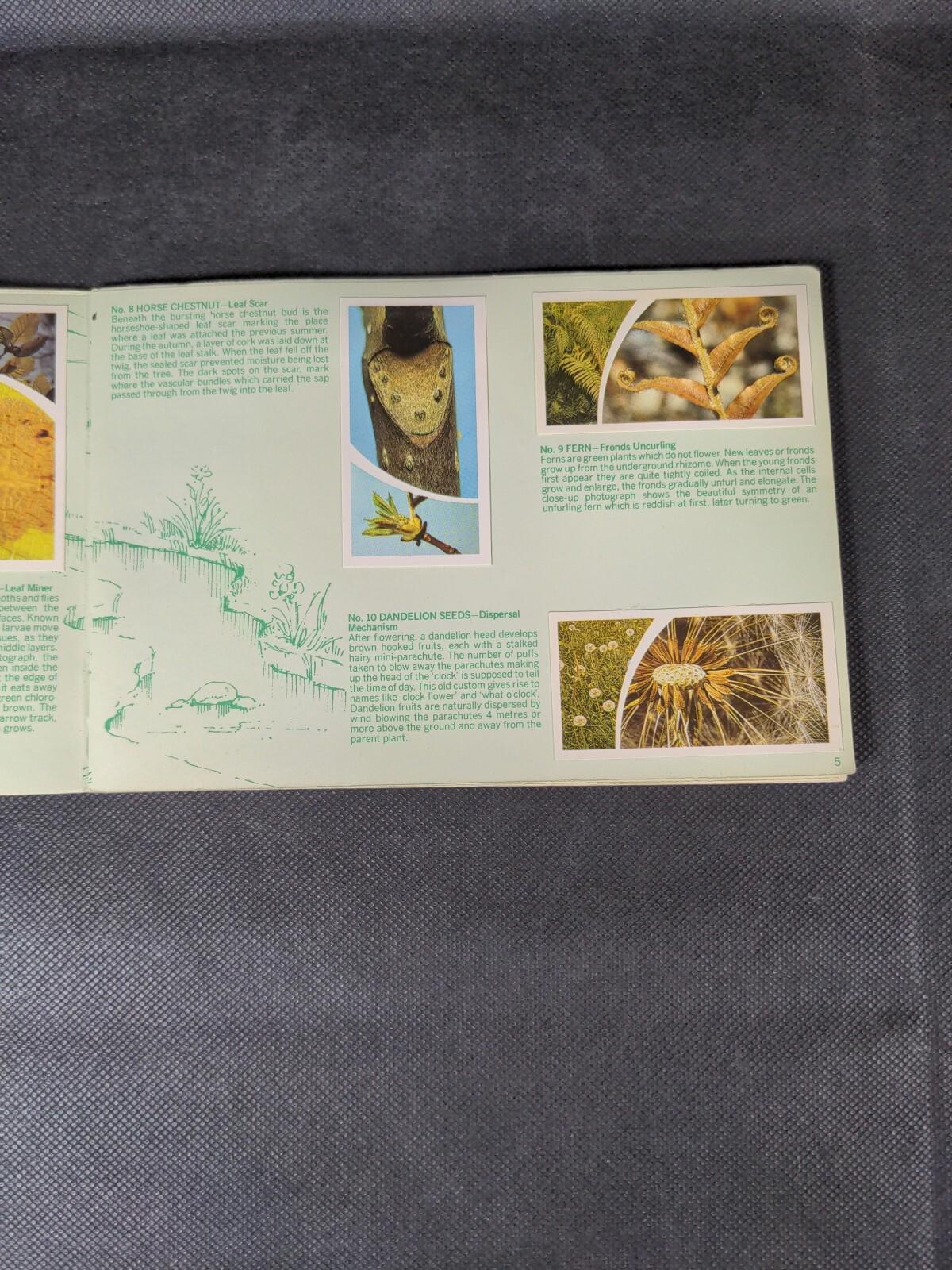 Brooke Bond Tea Cards: Small Wonders Album Complete With All Cards In The Set