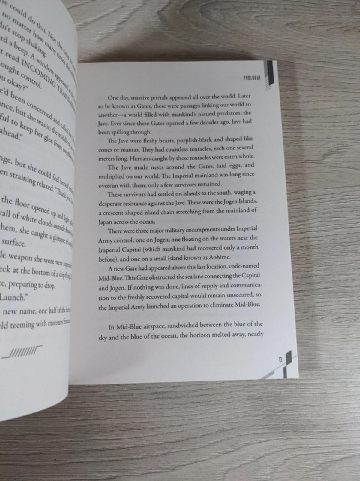 Division Maneuver Vol. 2 - Binary Hero by Shippo Senoo Paperback Novel 2019