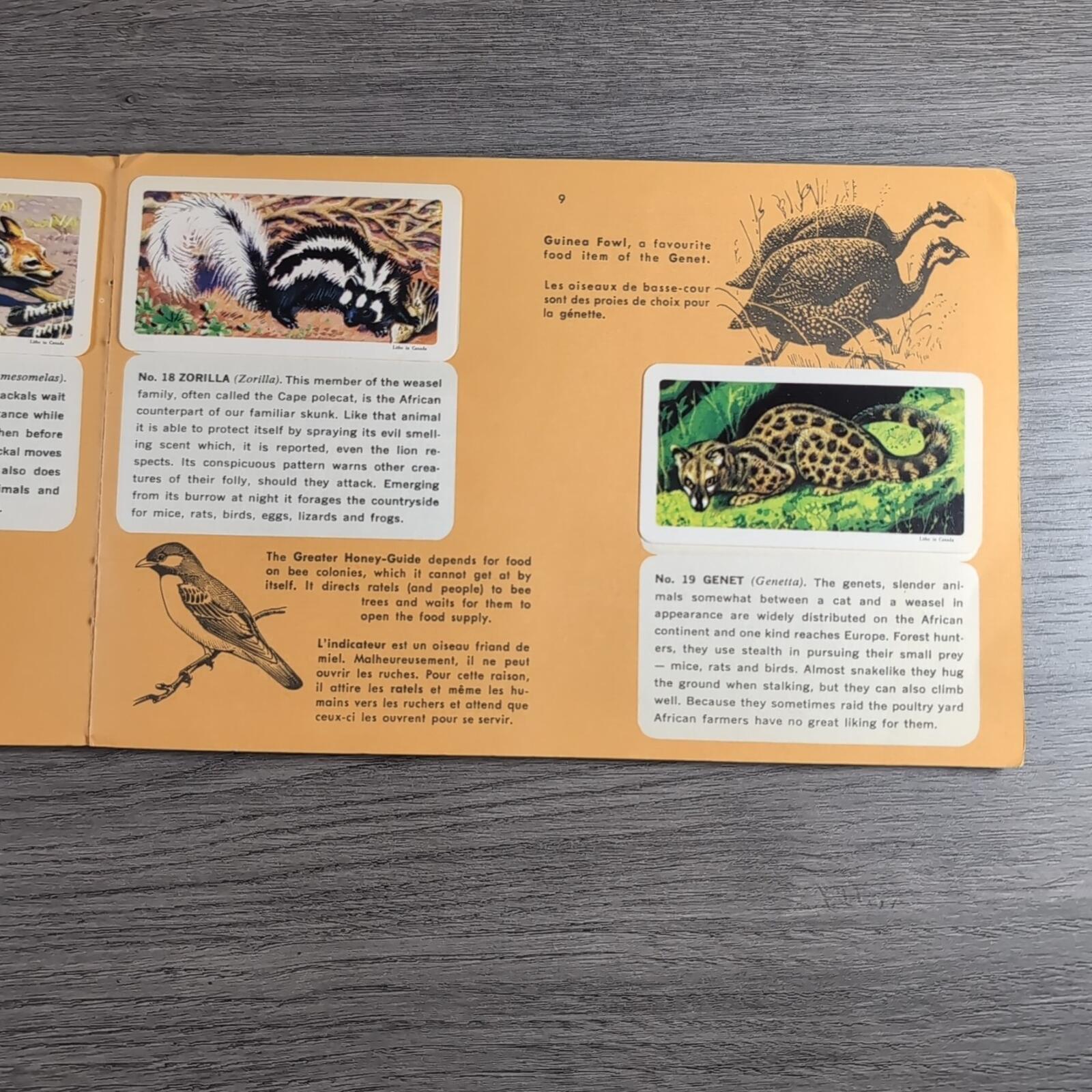African Animals Brooke Bond Album No 7 Tea Cards Vintage Collectors Cards