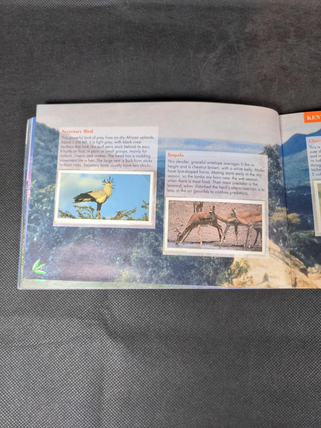 Brooke Bond Tea Cards: Natural Neighbours Album Complete All Cards In The Set