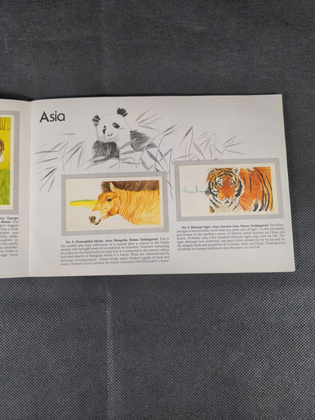 Brooke Bond Tea Cards: Vanishing Wildlife  Album Complete - All Cards In The Set