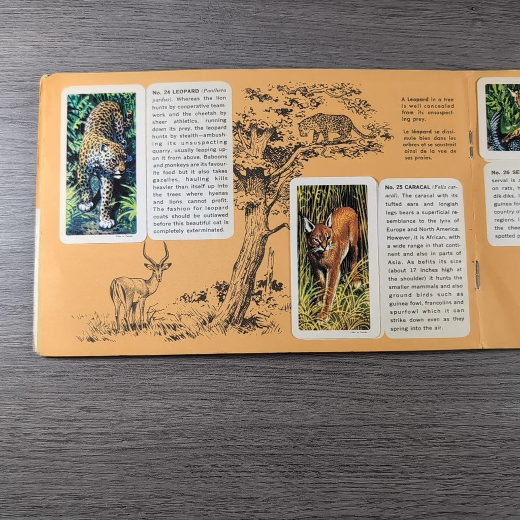 African Animals Brooke Bond Album No 7 Tea Cards Vintage Collectors Cards