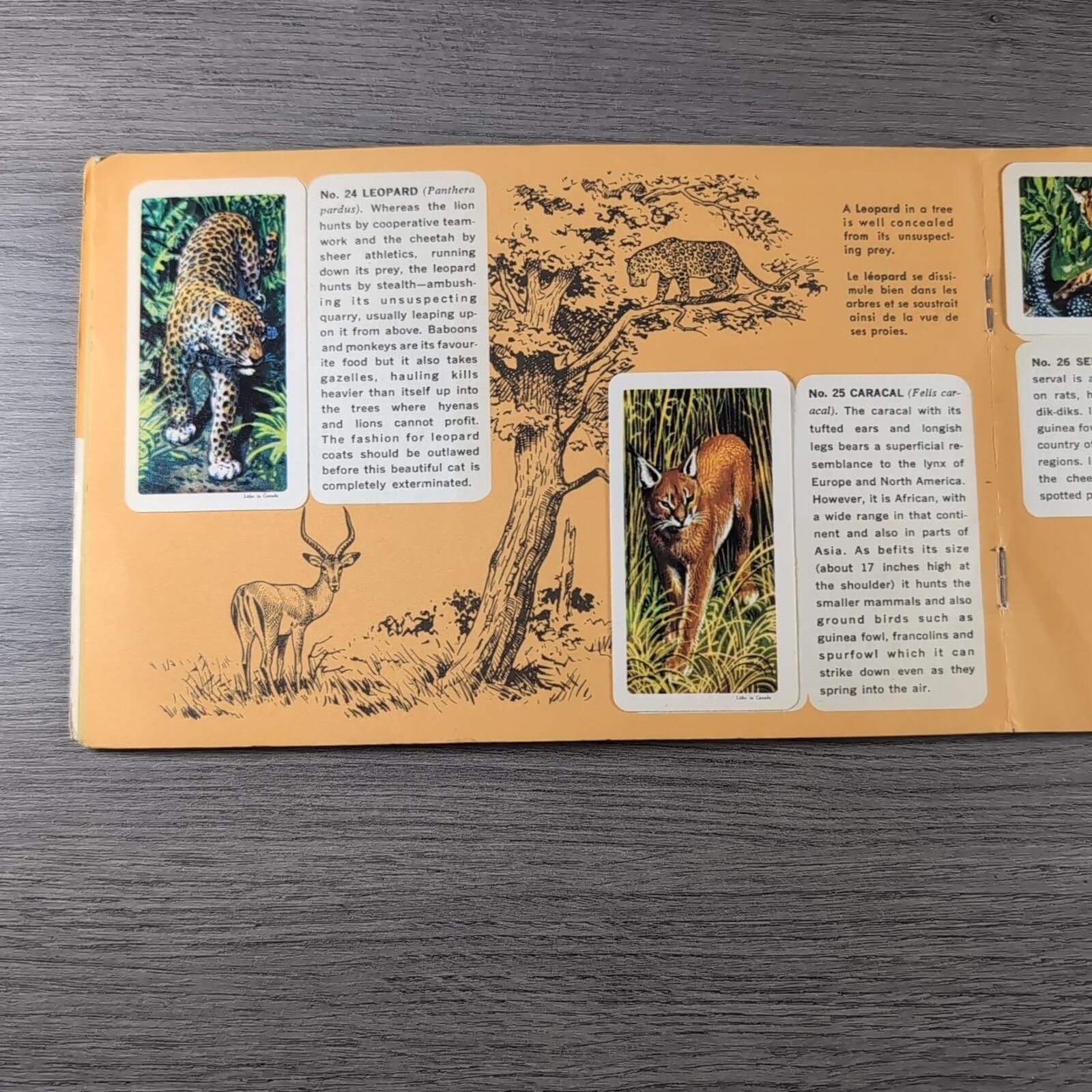 African Animals Brooke Bond Album No 7 Tea Cards Vintage Collectors Cards