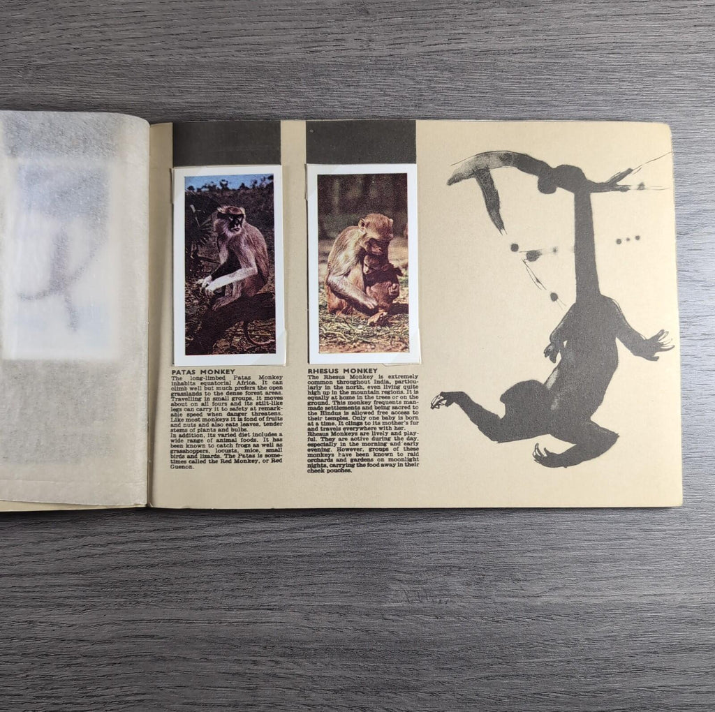 Hornimans Tea Picture Card Album On Safari Complete Set