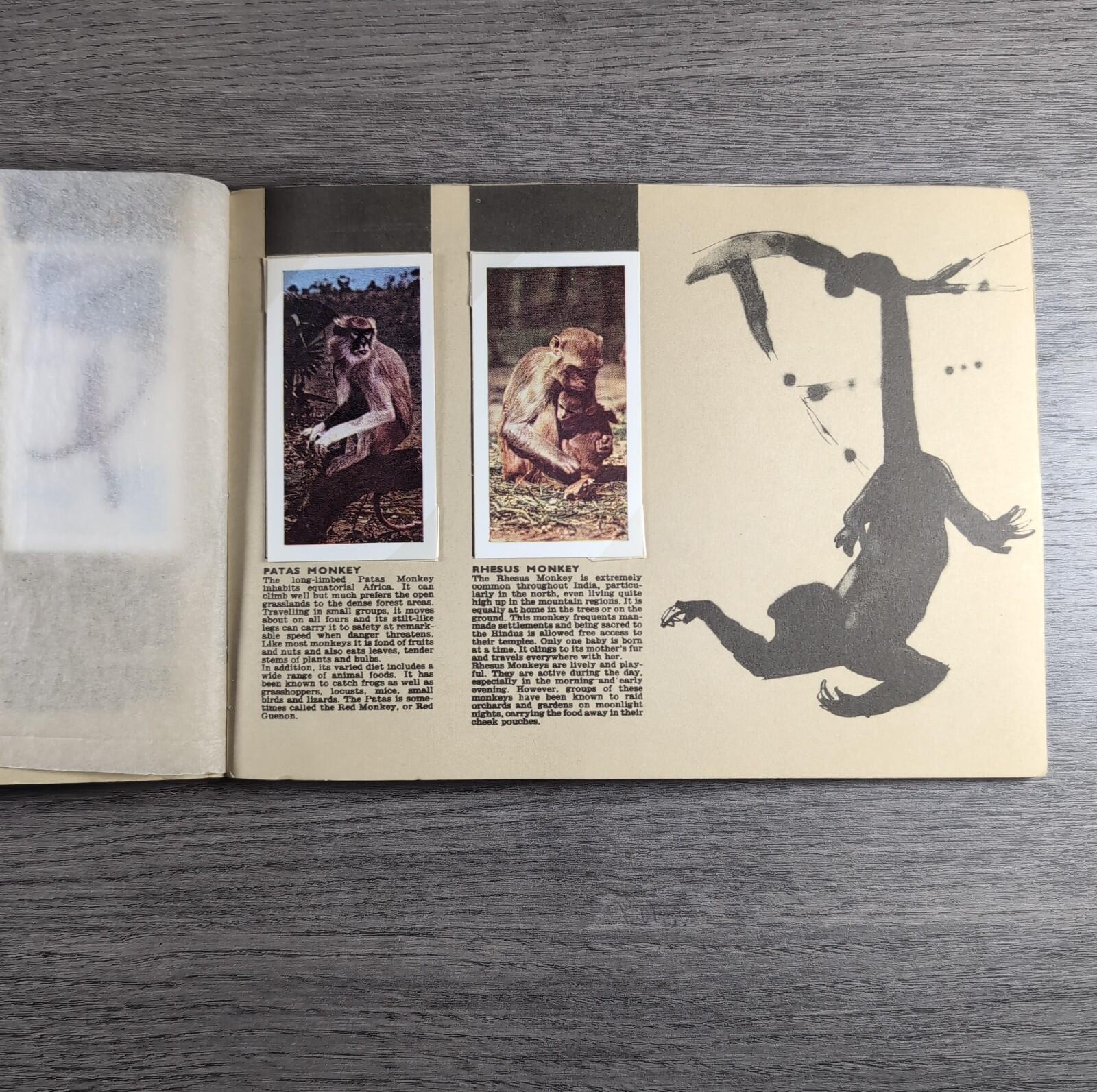 Hornimans Tea Picture Card Album On Safari Complete Set