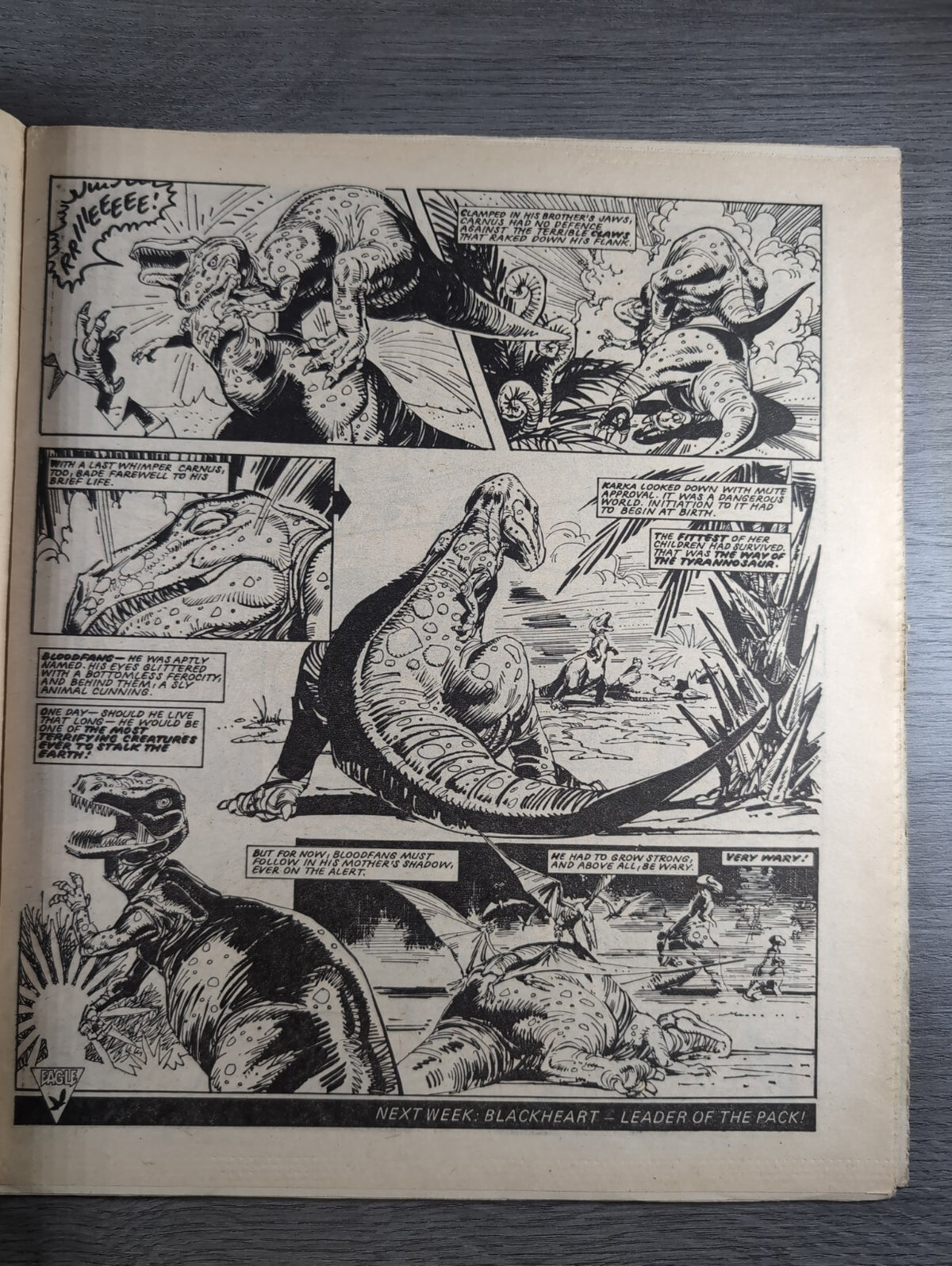 Eagle Comic Issue 9th June 1984 Vintage Retro UK Comic