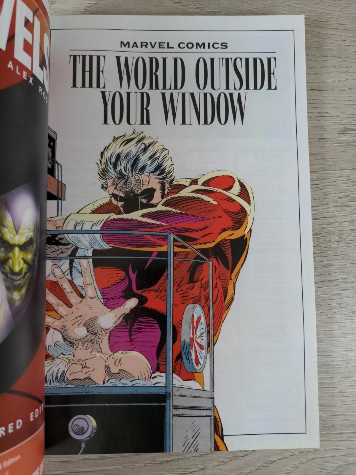 Marvel Comics The World Outside Your Window Graphic Novel - Comic Book