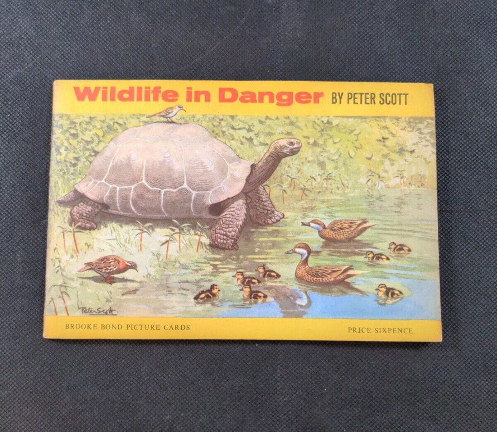 Brooke Bond Tea Wildlife in Danger Picture Card Album Complete Set