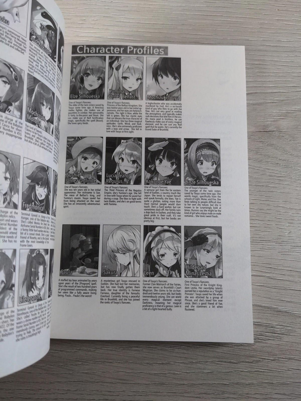 In Another World With My Smartphone: Volume 19 by Patora Fuyuhara Paperback Book - Retrorama UK