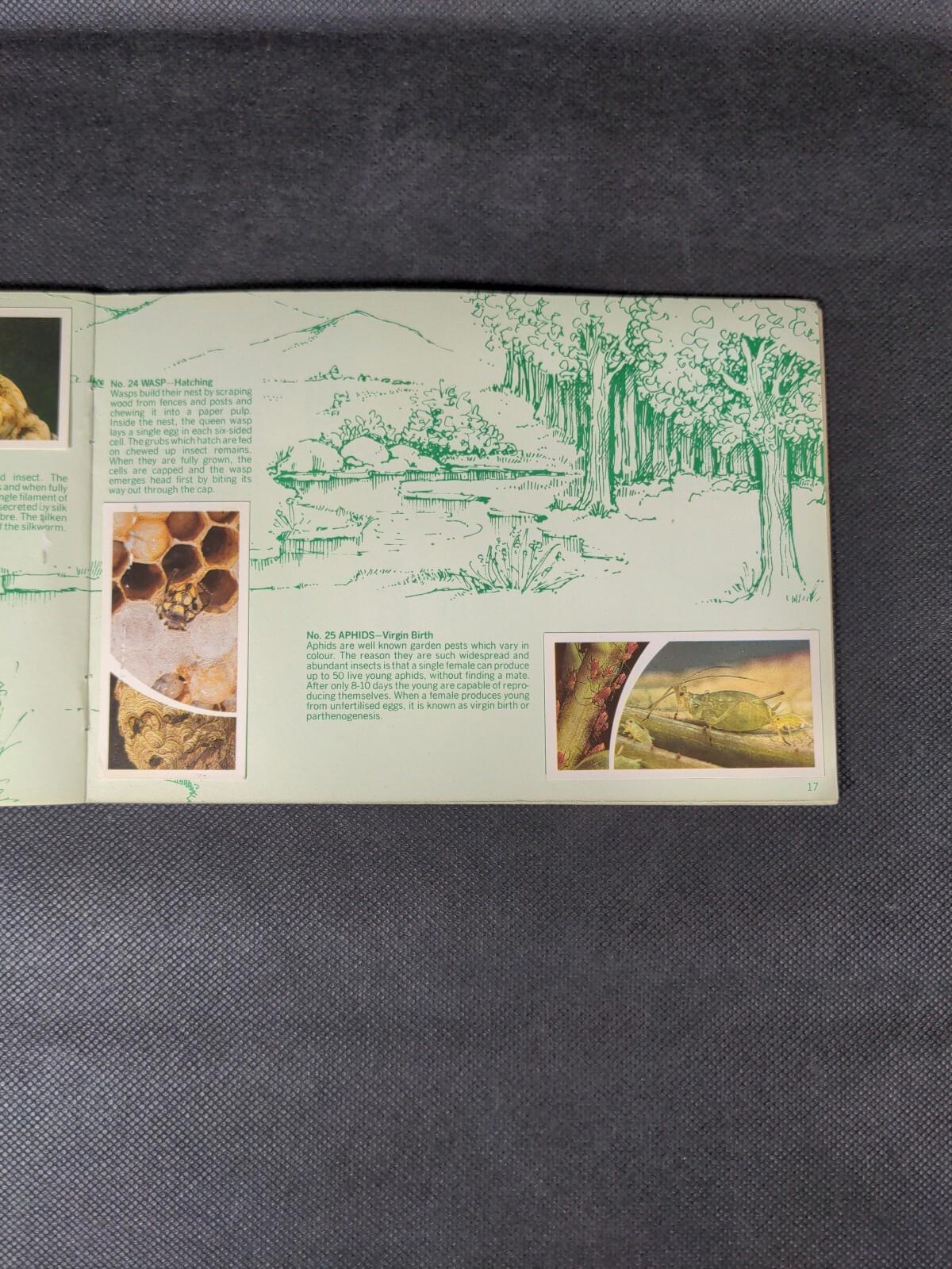 Brooke Bond Tea Cards: Small Wonders Album Complete With All Cards In The Set