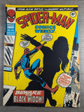 Spider-Man Comics Weekly No 109 Marvel Comics UK 15th March 1975 Vintage Comic