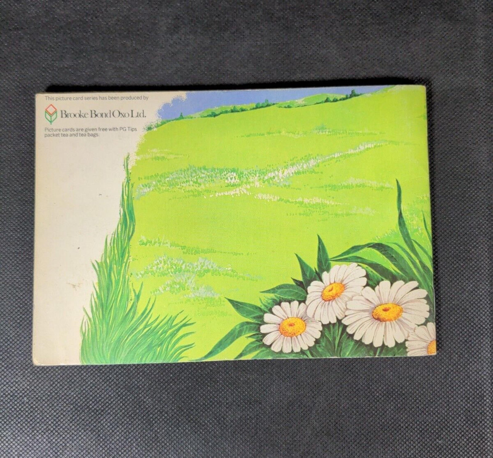 Brooke Bond Tea Cards: Small Wonders Album Complete With All Cards In The Set