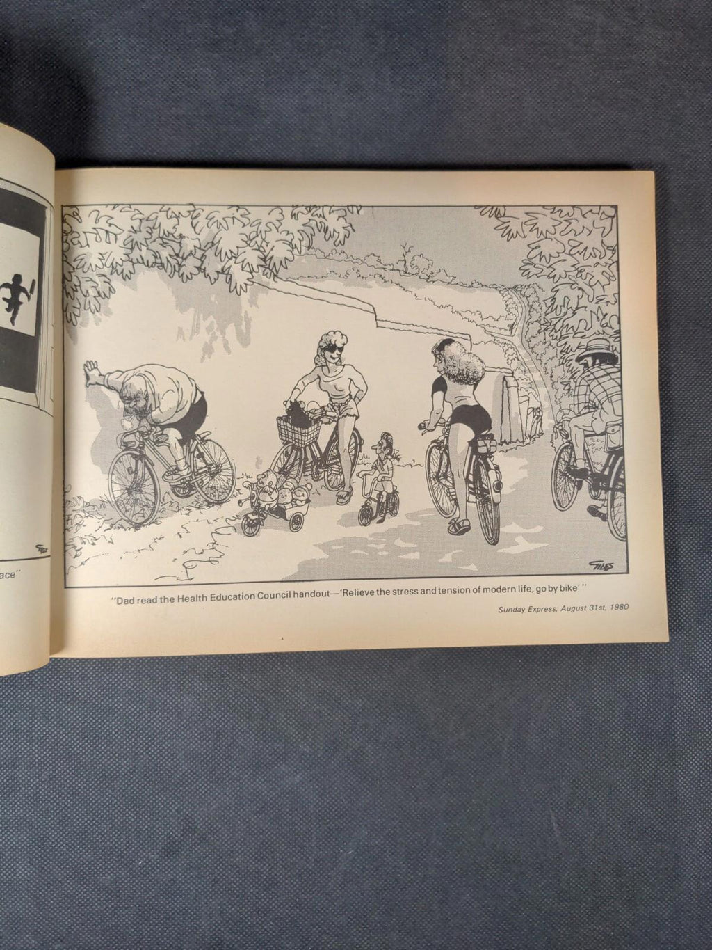Giles Annual Thirty Fifth Series 1981 Cartoon Book Unclipped