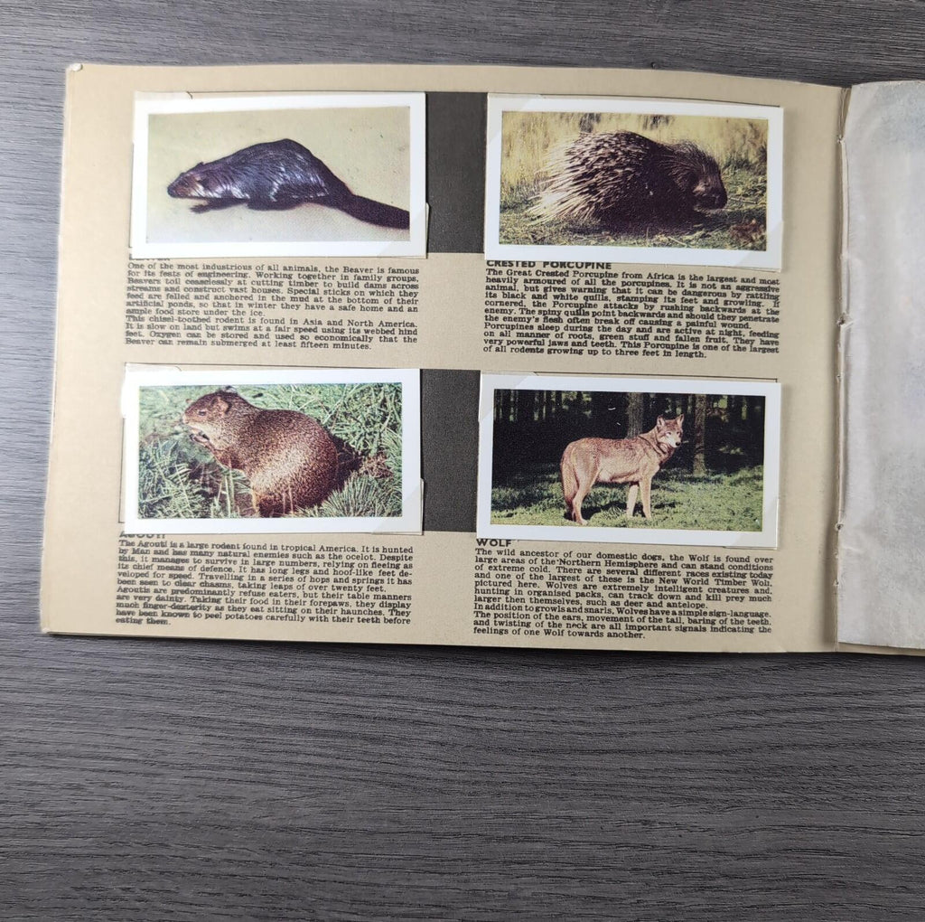 Hornimans Tea Picture Card Album On Safari Complete Set