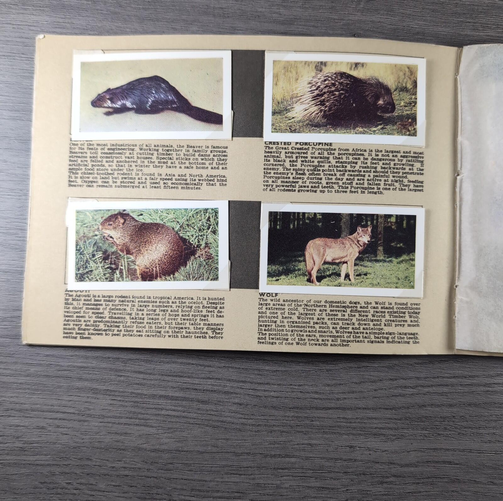 Hornimans Tea Picture Card Album On Safari Complete Set