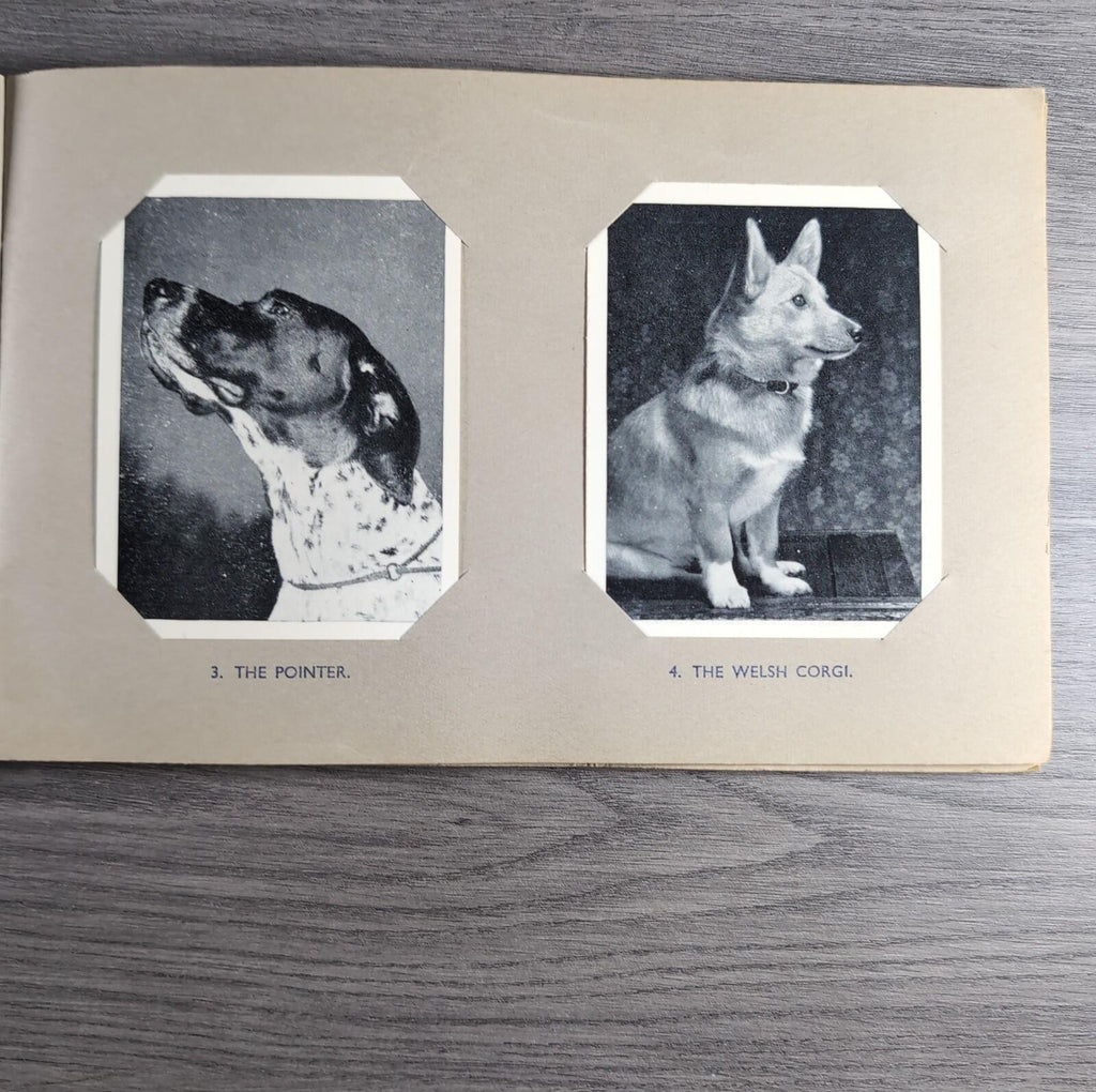 Good Dogs Trex J Bibby 1955 Full Set 25 Cards In Album Collectors Trading Cards
