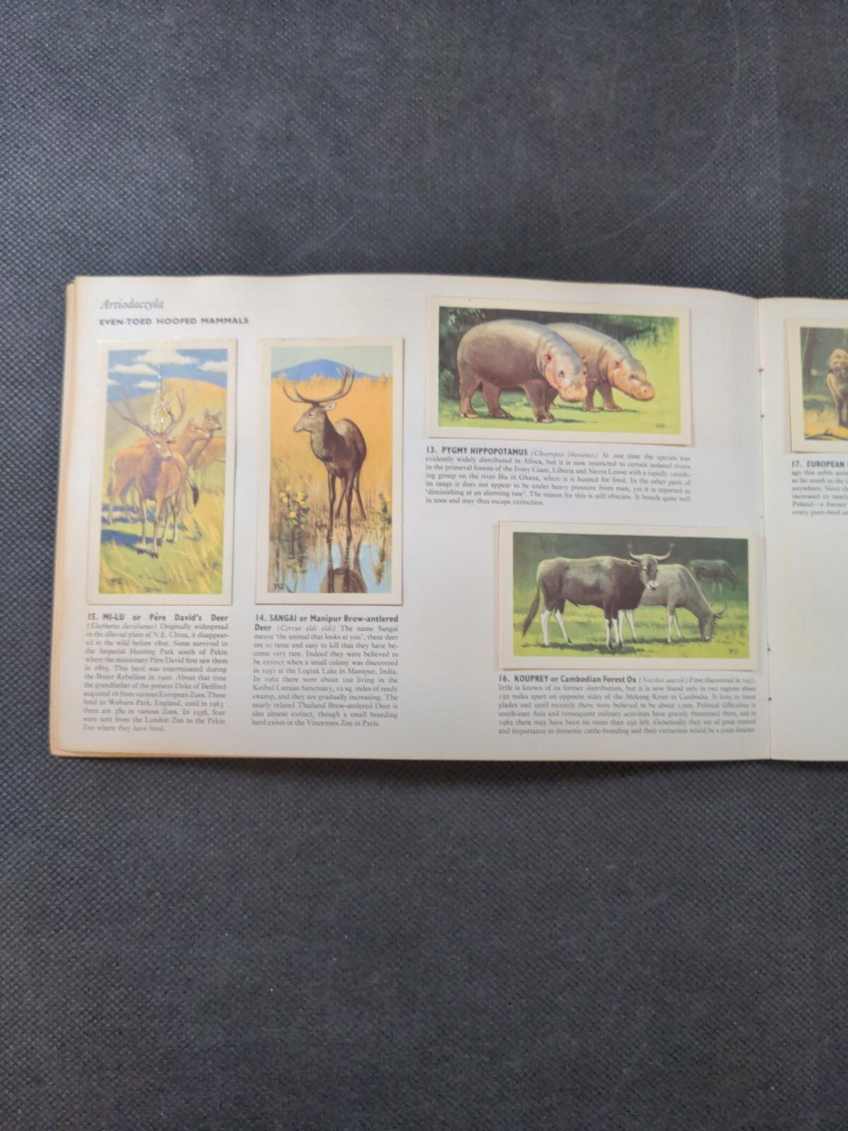 Brooke Bond Tea Wildlife in Danger Picture Card Album Complete Set