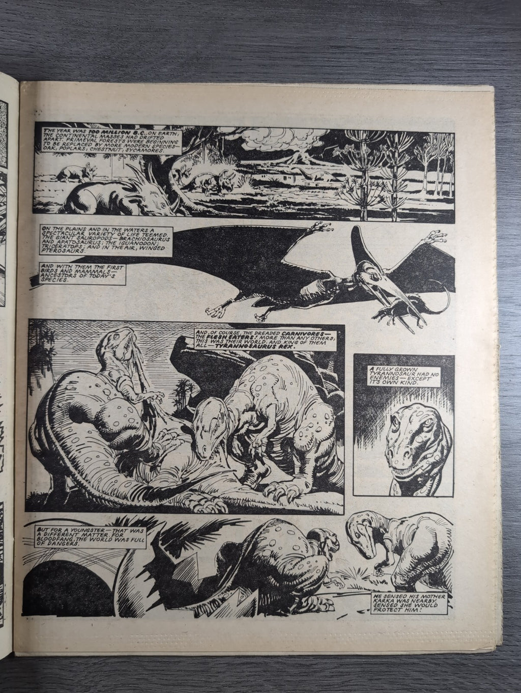 Eagle Comic Issue 9th June 1984 Vintage Retro UK Comic