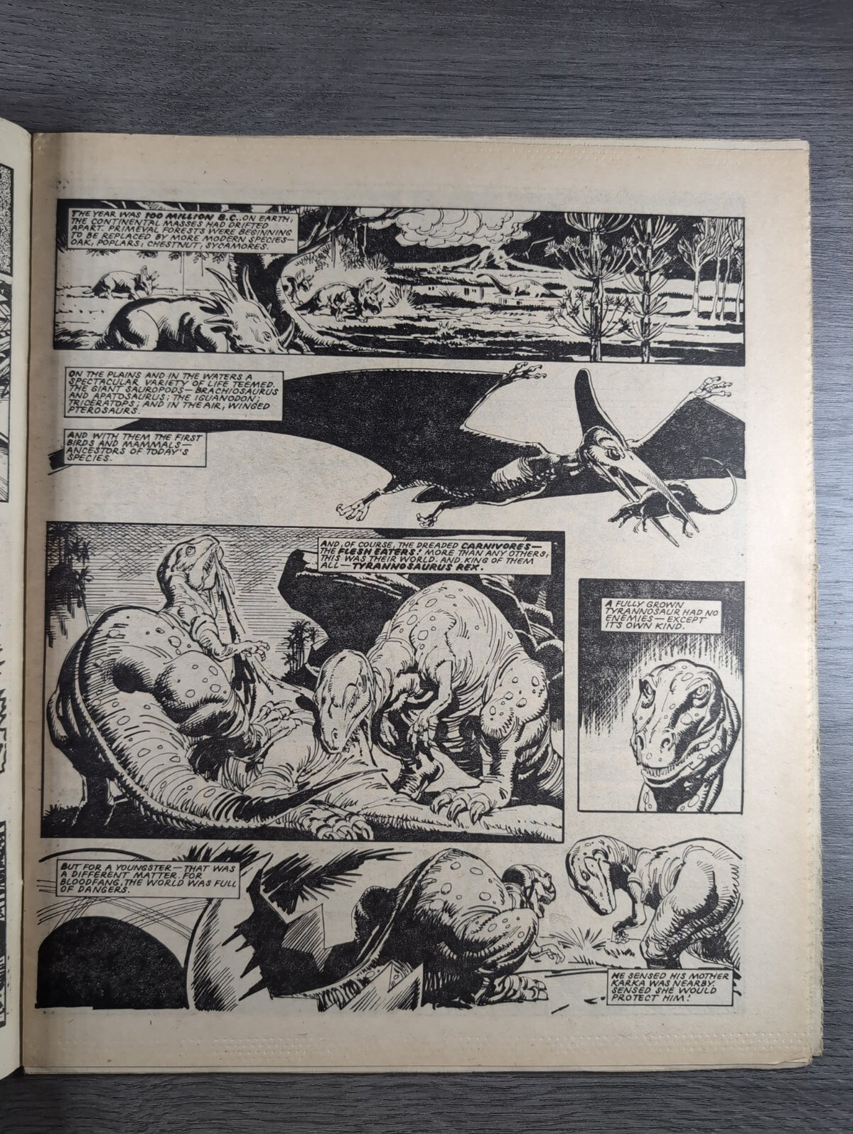Eagle Comic Issue 9th June 1984 Vintage Retro UK Comic