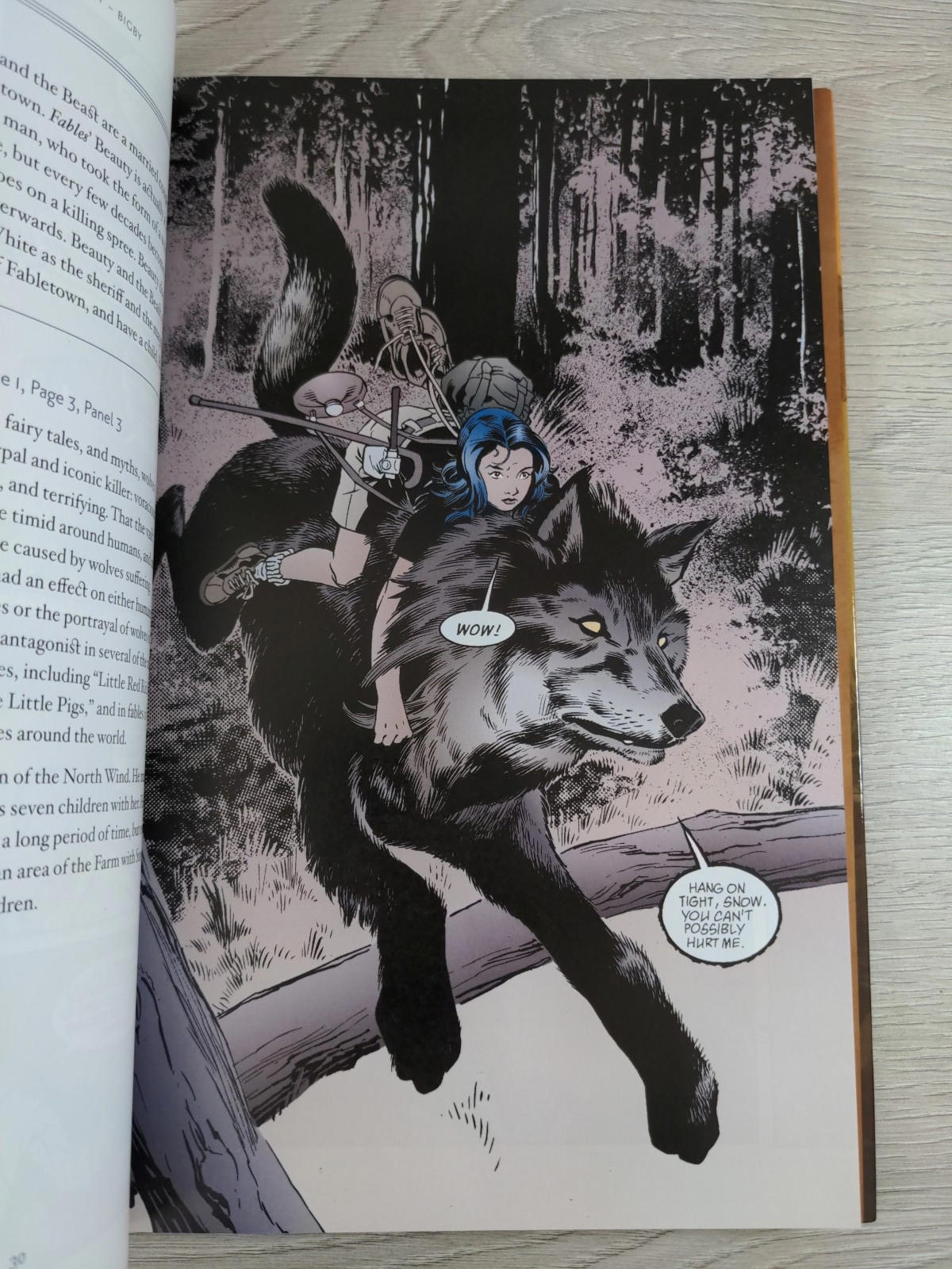 Vertigo Comics The Fables Encyclopedia Jess Nevins Hardback Graphic Novel
