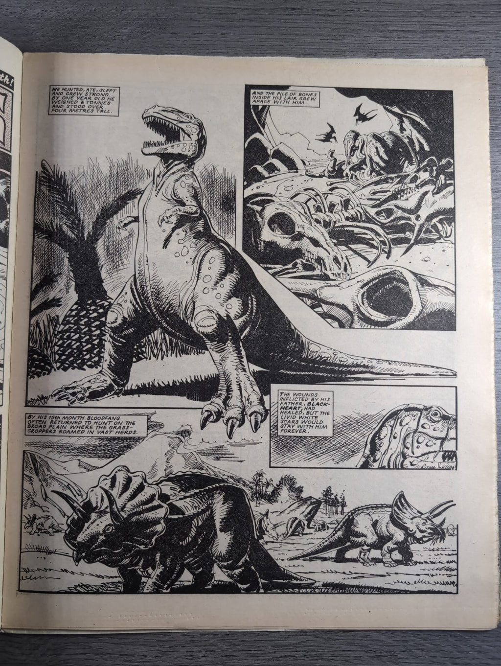 Eagle Comic Issue 26th July 1984  Vintage Retro UK Comic
