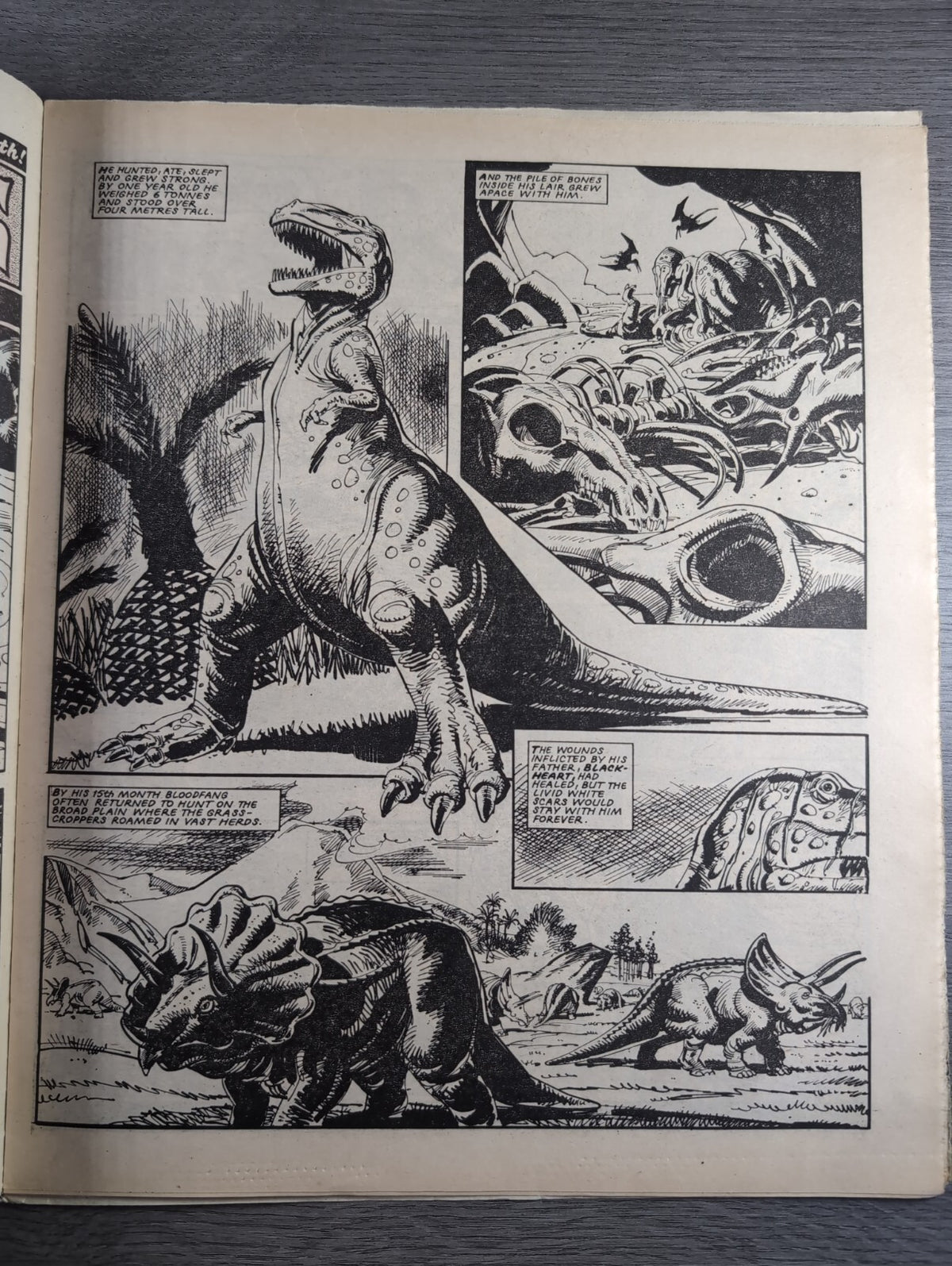 Eagle Comic Issue 26th July 1984  Vintage Retro UK Comic