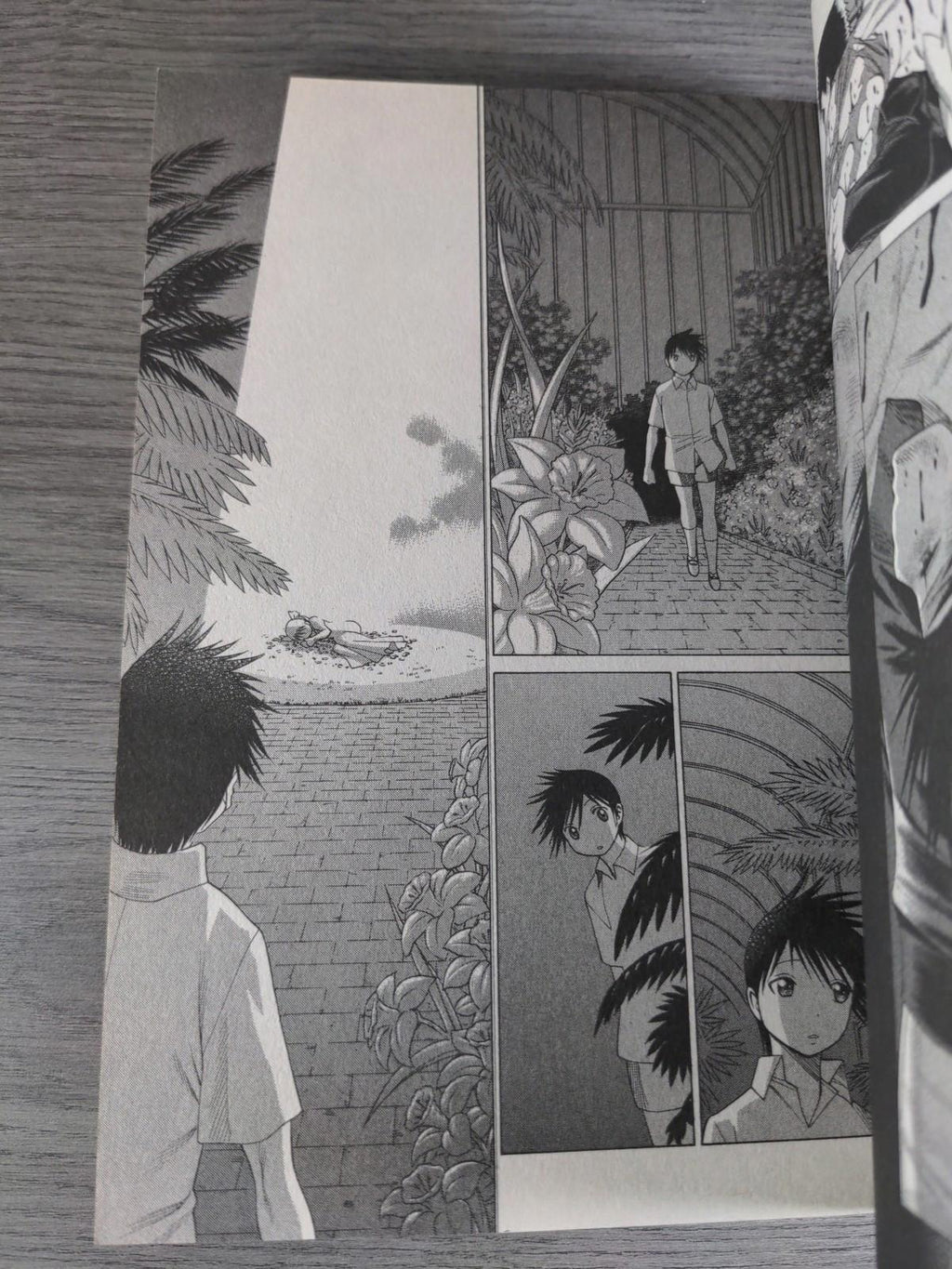 Dance in the Vampire Bund Vol. 5 by Tamaki, Nozomu Graphic Novel Paperback Book - Retrorama UK