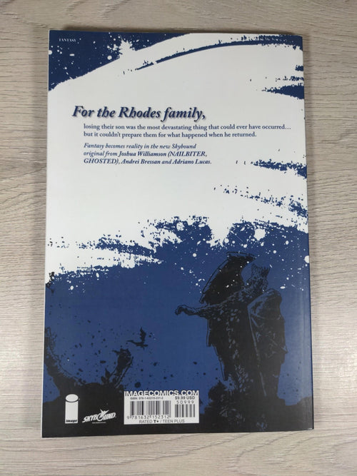 Birthright Volume 1: Homecoming by Joshua Williamson Paperback 2018 Image Comics - Retrorama UK