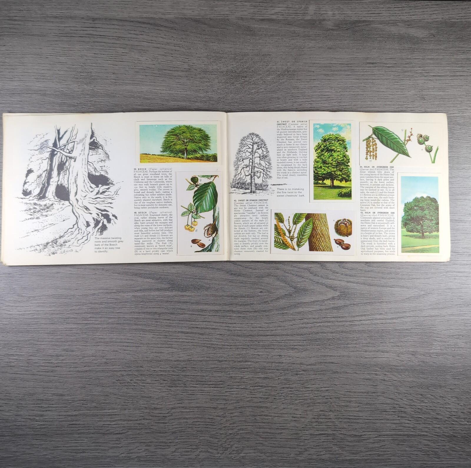 Brooke Bond Tea Picture Cards Album Trees In Britain Complete Set