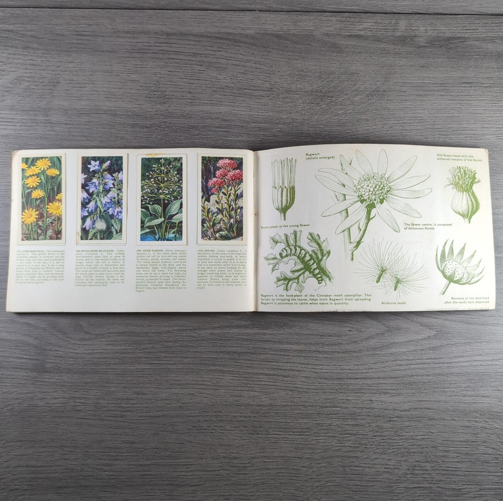 Brooke Bond Tea Picture Cards Album Wild Flowers Complete Set