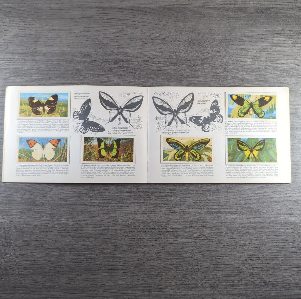 Brooke Bond Tea Picture Cards Album Butterflies Of The World Complete Set