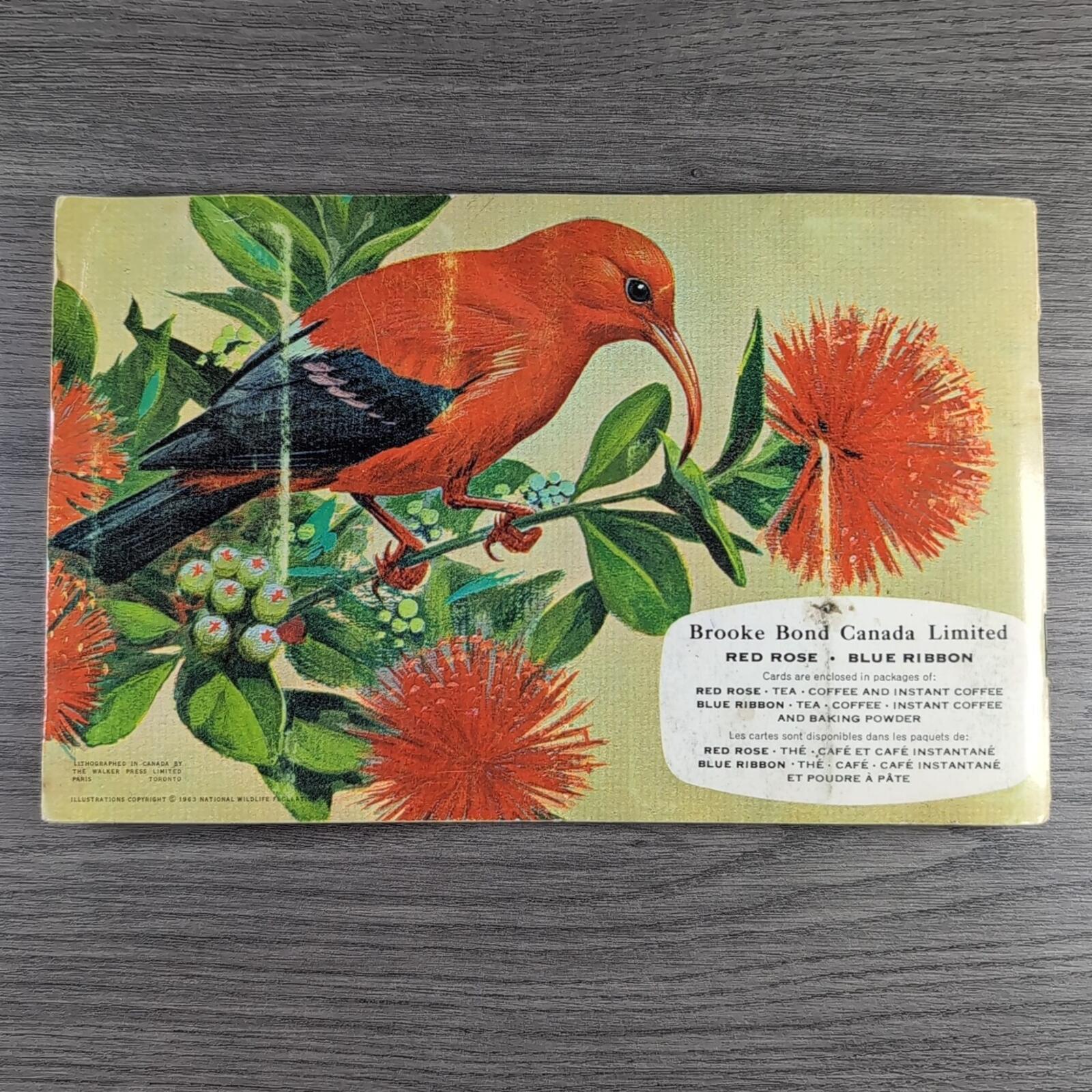 Brooke Bond Tea Picture Card Album No 6 Tropical Birds Complete Set Canada Issue