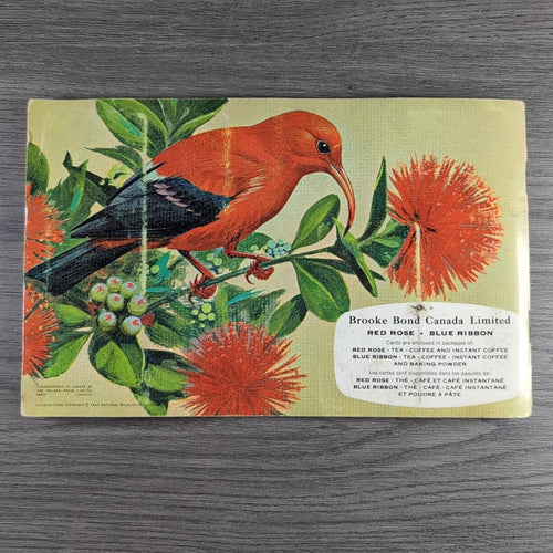 Brooke Bond Tea Picture Card Album No 6 Tropical Birds Complete Set Canada Issue