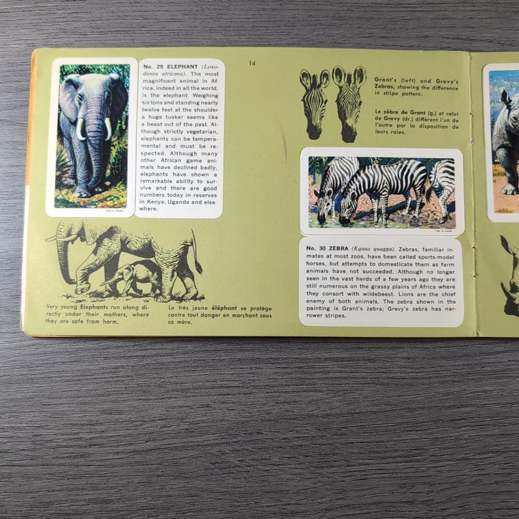 African Animals Brooke Bond Album No 7 Tea Cards Vintage Collectors Cards