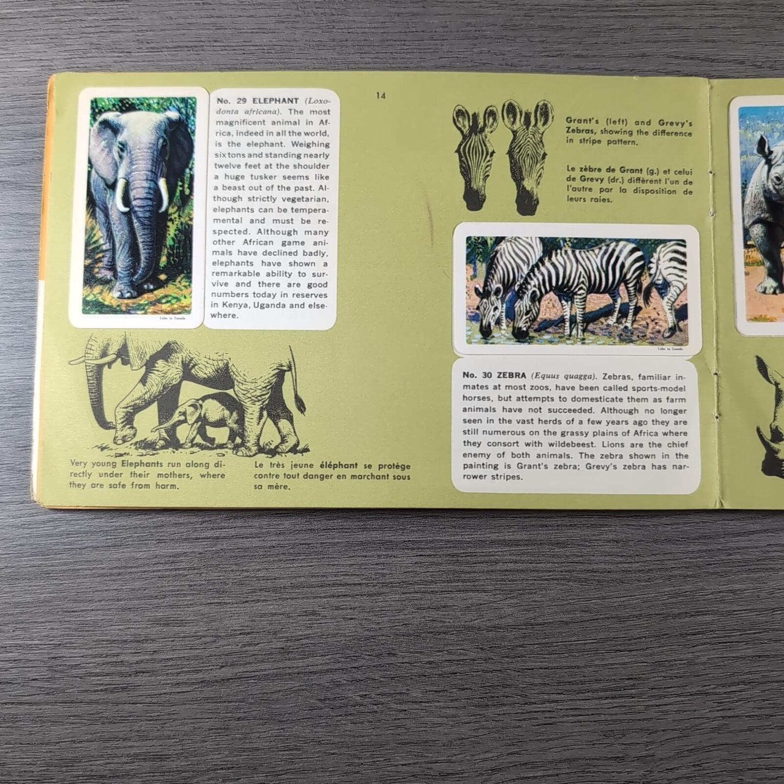 African Animals Brooke Bond Album No 7 Tea Cards Vintage Collectors Cards