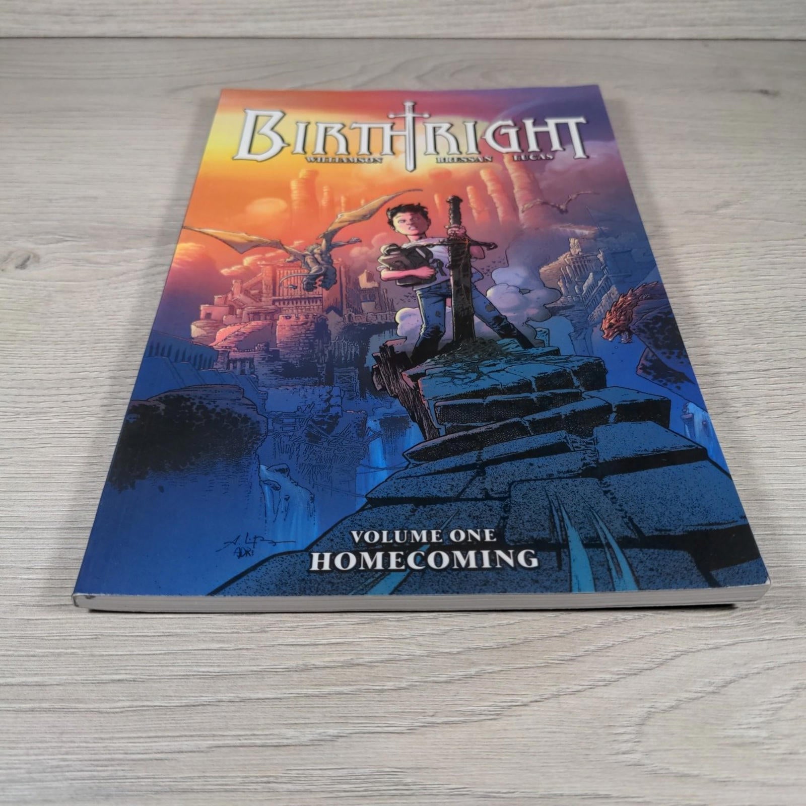 Birthright Volume 1: Homecoming by Joshua Williamson Paperback 2018 Image Comics - Retrorama UK