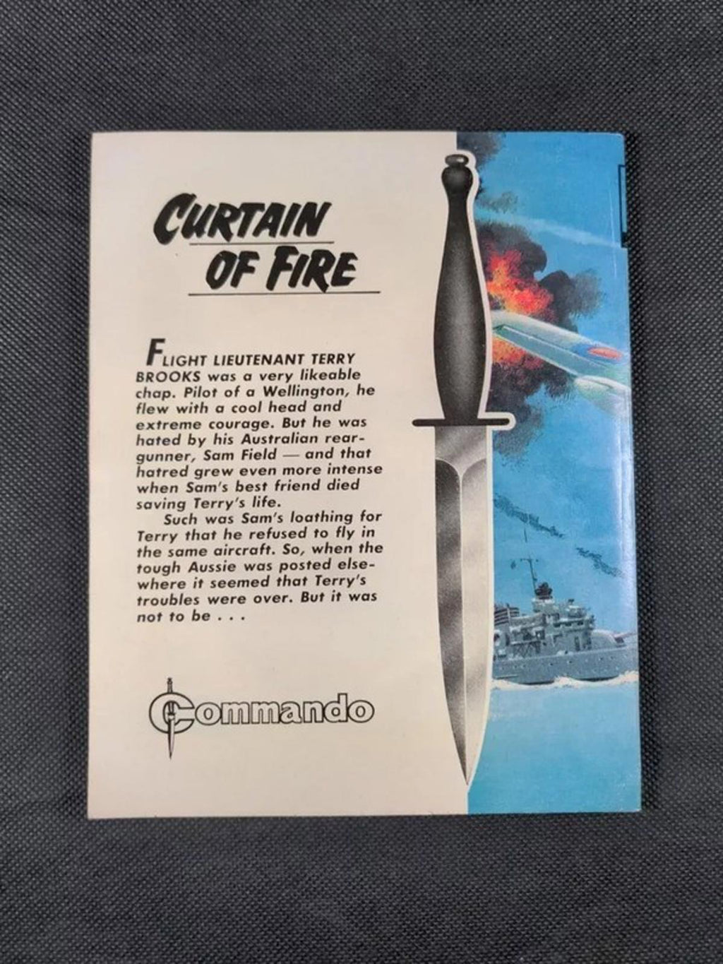 Commando Comic Issue Number 1248 Curtain Of Fire - Retrorama UK