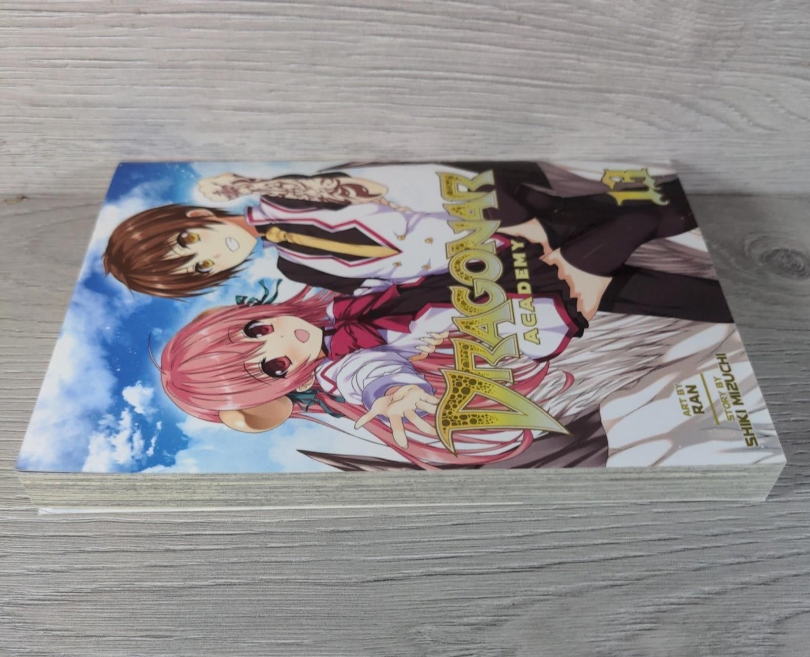 Dragonar Academy Vol 13 Shiki Mizuch Manga Graphic Novel Paperback Book - Retrorama UK