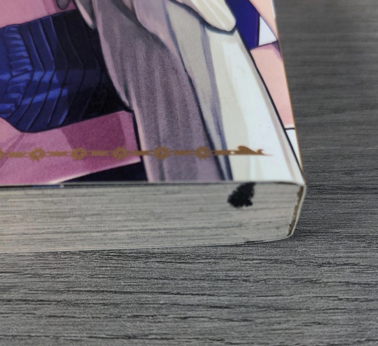 Devils and Realist Vol 13 Madoka Takadono Paperback Manga Book 2017