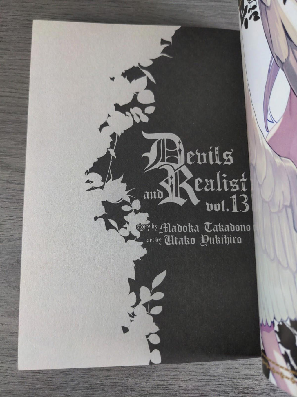 Devils and Realist Vol 13 by Madoka Takadono Manga Paperback Graphic Novel 2017
