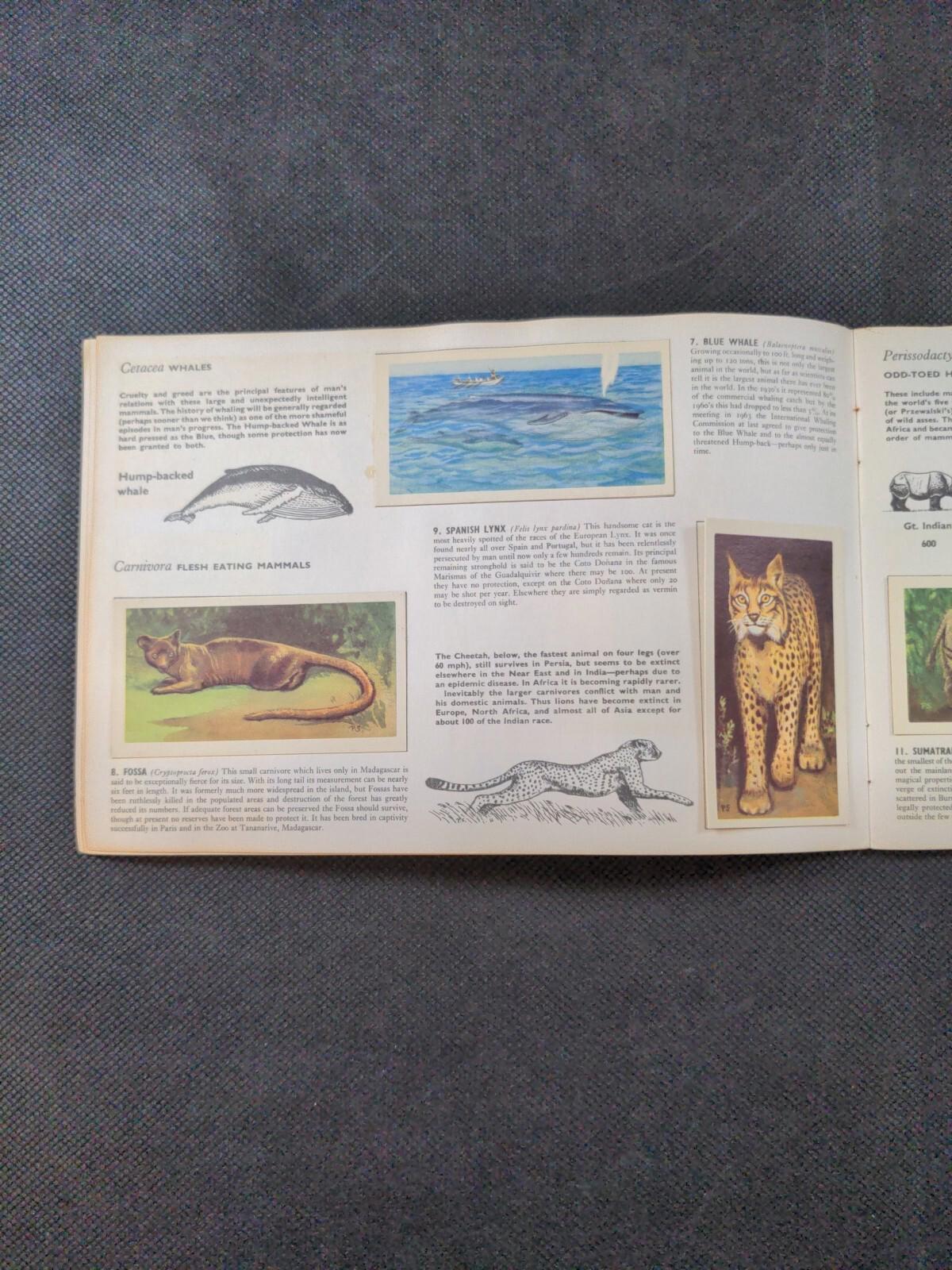 Brooke Bond Tea Wildlife in Danger Picture Card Album Complete Set