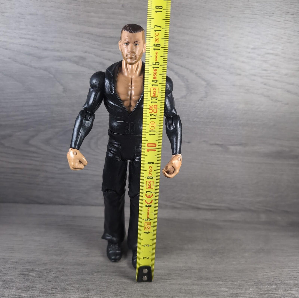 WWE Fandango Wrestling Toy Action Figure Mattel 2011