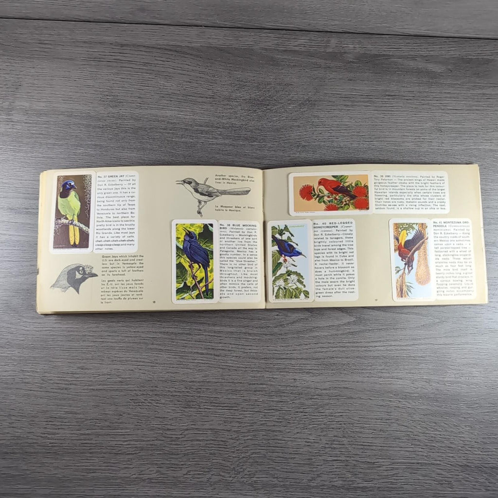 Brooke Bond Tea Picture Card Album No 6 Tropical Birds Complete Set Canada Issue