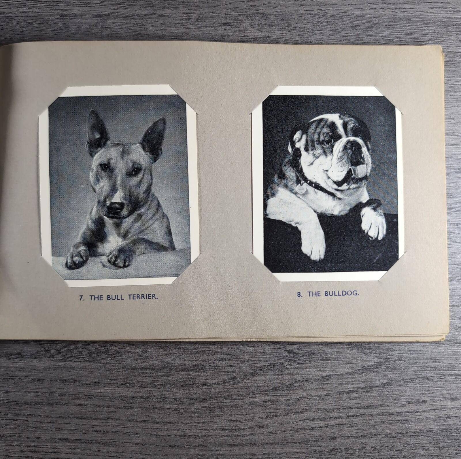 Good Dogs Trex J Bibby 1955 Full Set 25 Cards In Album Collectors Trading Cards