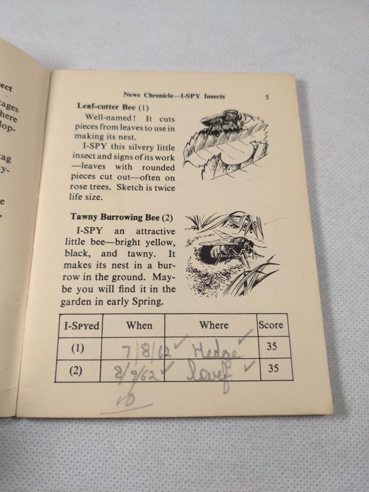 Vintage I-Spy News Chronicle Book Issue Insects - Retrorama UK