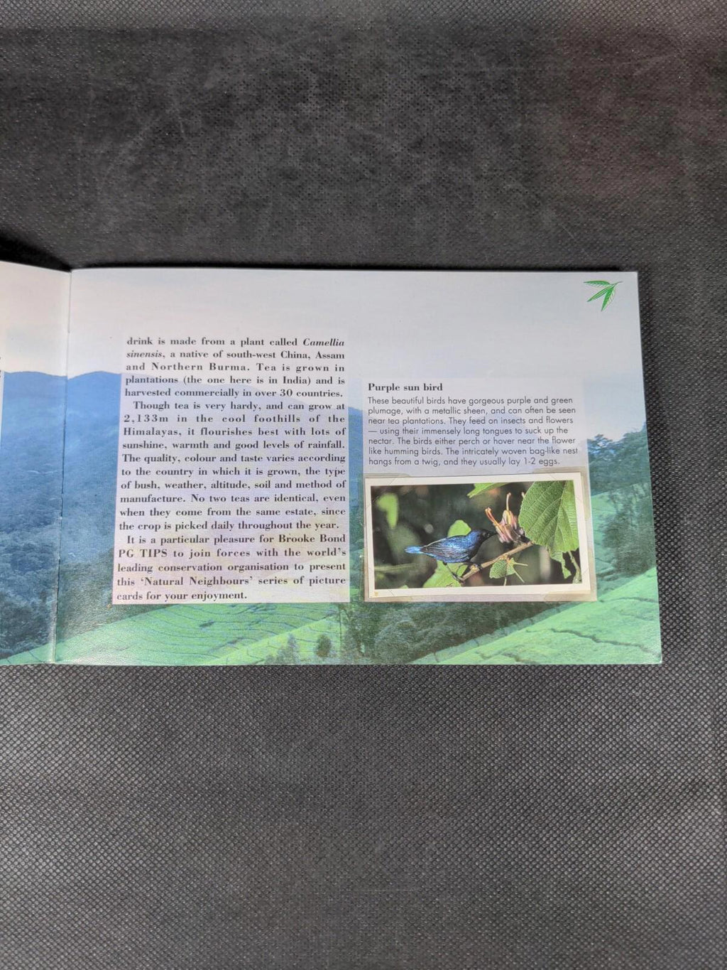 Brooke Bond Tea Cards: Natural Neighbours Album Complete All Cards In The Set